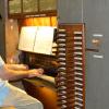 Dettaglio Organista